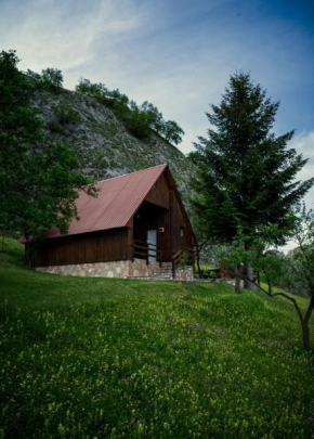 Detached house Milivoje